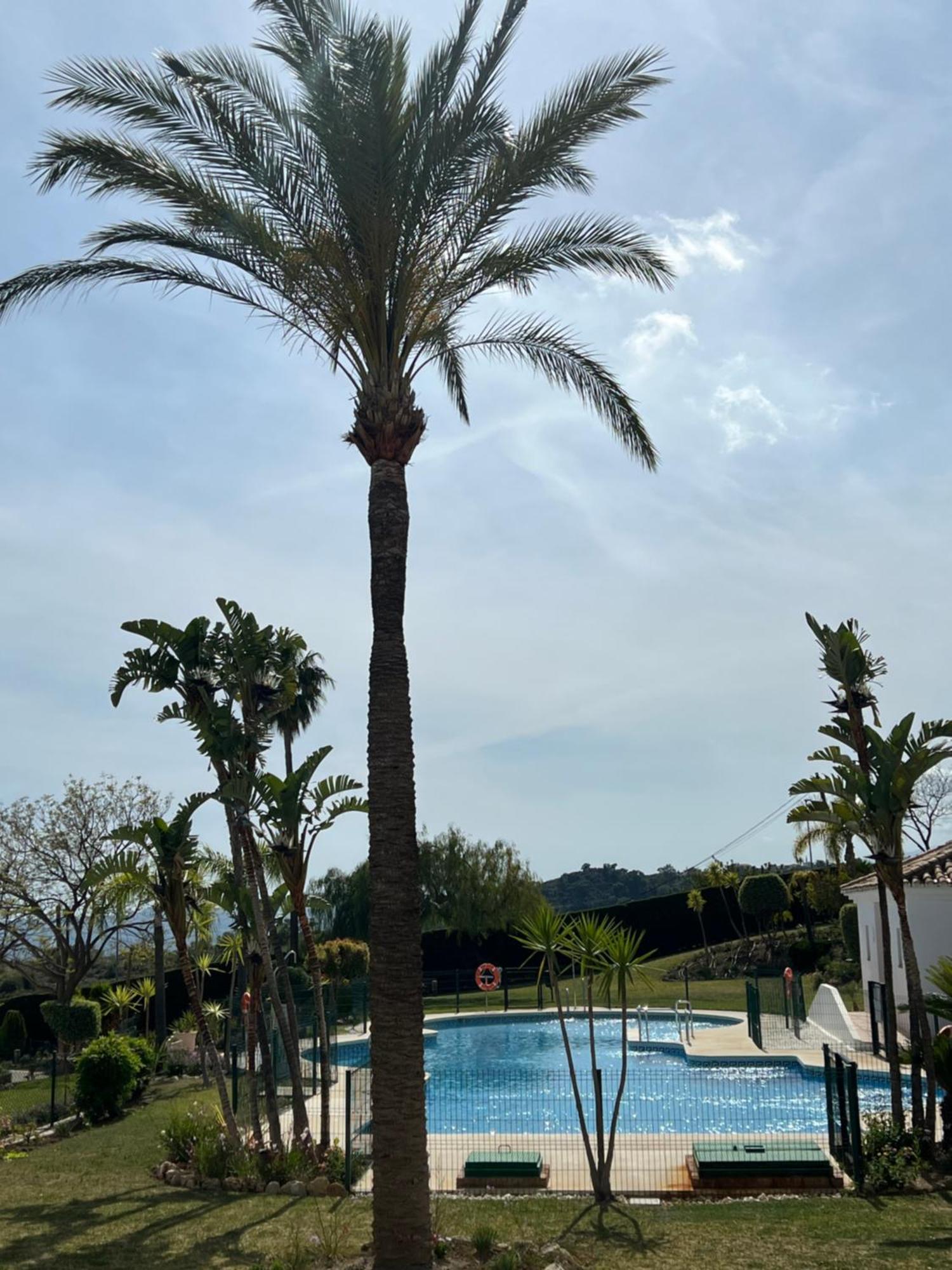 Apartment San Antonio Two Bedroom With Swimming Pool